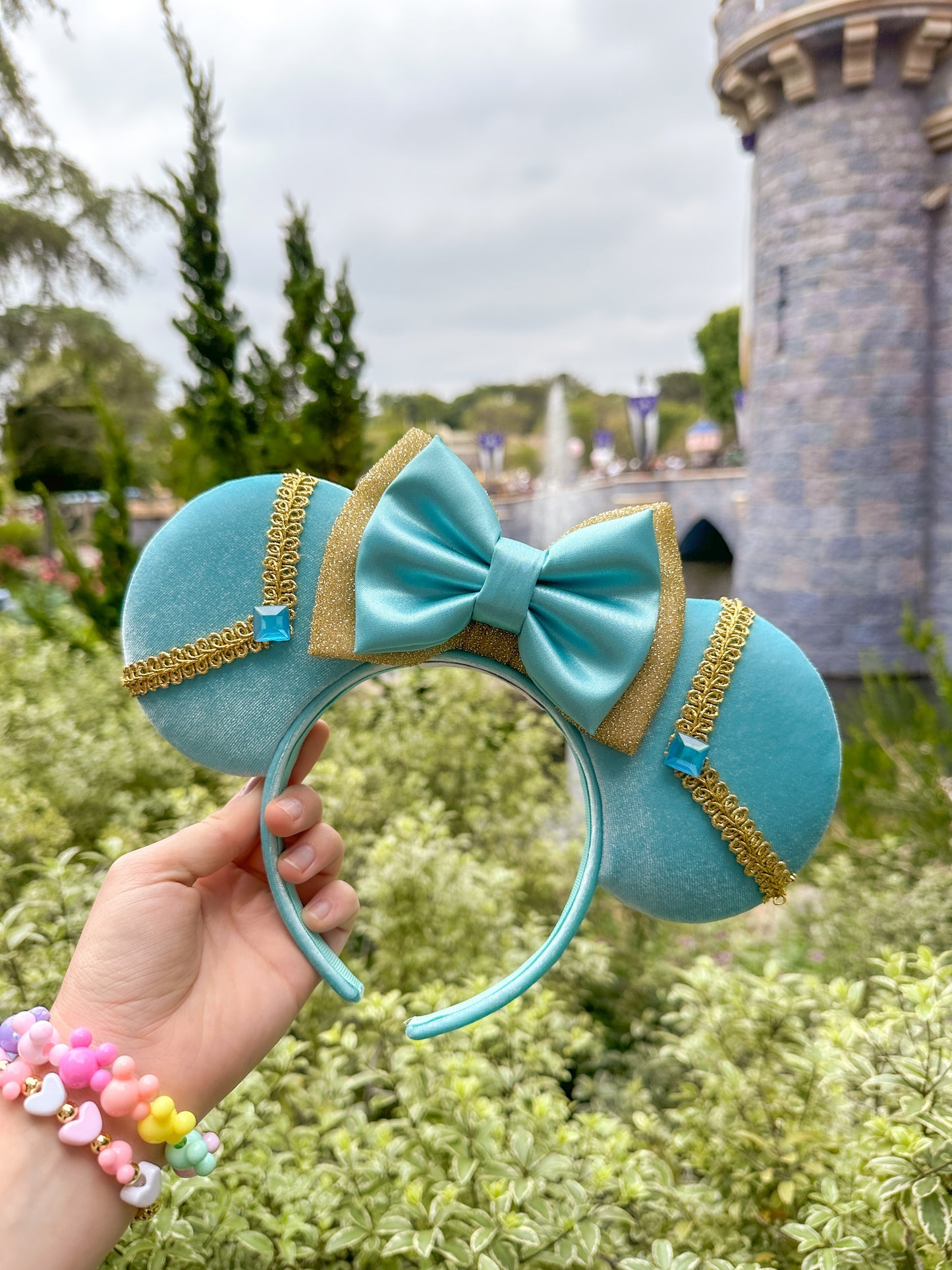 A Whole New World Mouse Ears!